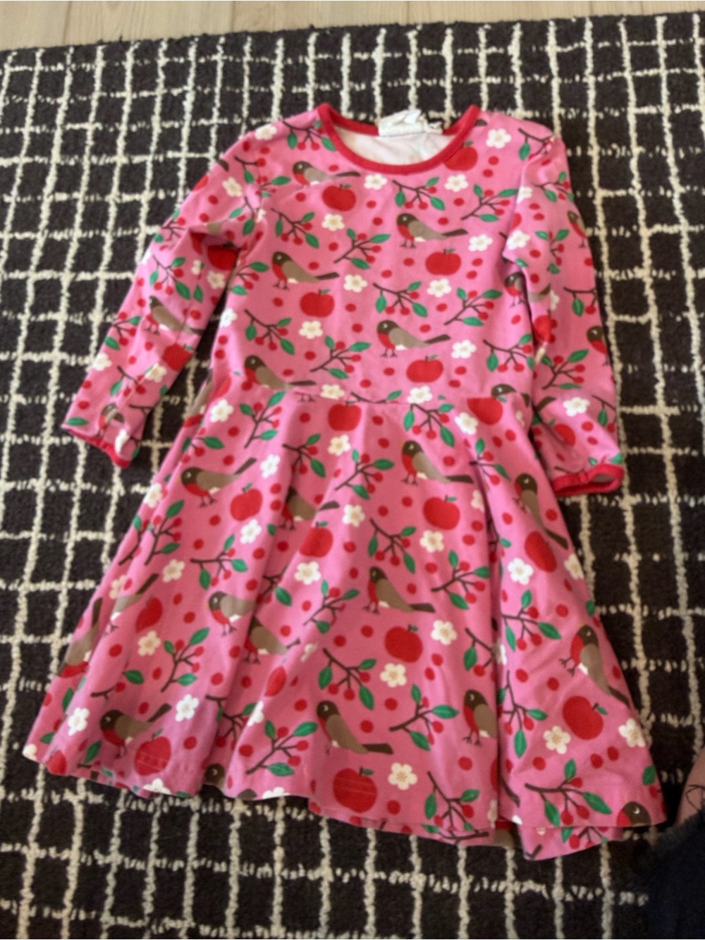 Girls' Pink Apple & Bird Print Skater Dress